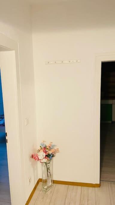 Wohnung Im Zentrum Von 阿尔伯斯塔特 外观 照片